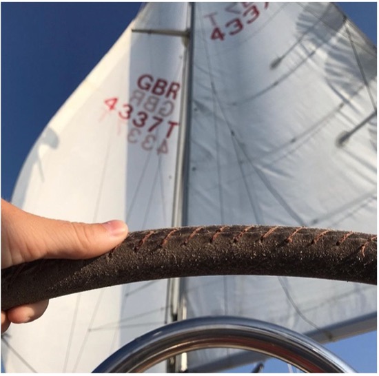 sailing boat goose winging downwind